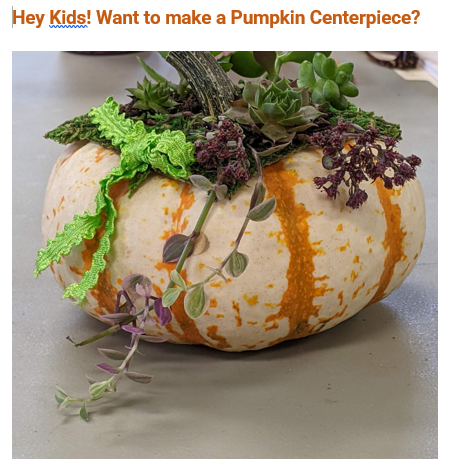 Pumpkin Centerpiece