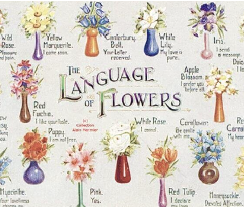 The Language of Flowers